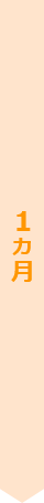 1ヵ月